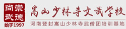 嵩山少林寺武僧團(tuán)培訓(xùn)基地手機(jī)網(wǎng)站
