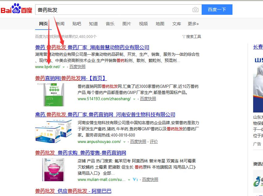 �P�I�~����